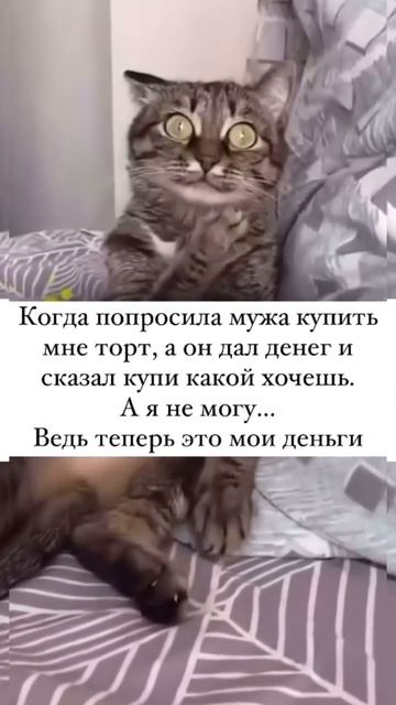 Когда попросила мужа купить мне оорт смотреть онлайн