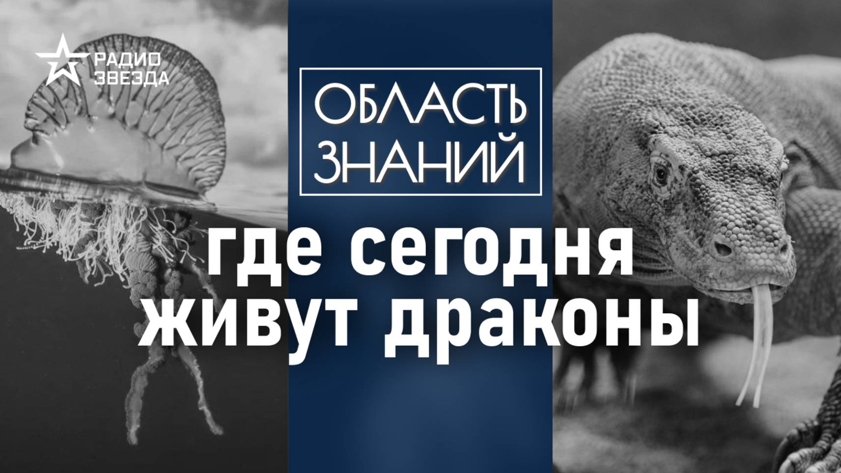 Как выглядят драконы в реальной жизни? Лекция биолога Натальи Носовой смотреть онлайн