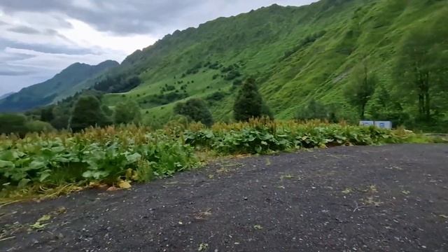 Самая высокогорная баня в России. Роза хутор - кемпинг смотреть онлайн