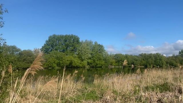 природа смотреть онлайн