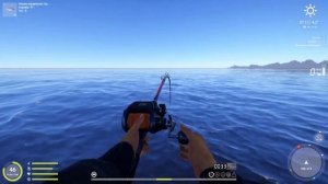 Русская рыбалка 4 Норвежское море  Морская донная с ме?