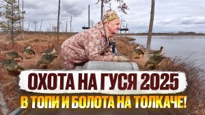 ОХОТА НА ГУСЯ 2025 // АРХАНГЕЛЬСКАЯ ОБЛ // ПО ТОПЯМ НА ТОЛКАЧЕ ТОФАЛАР