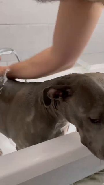 Мысли вслух )))!!! смотреть онлайн