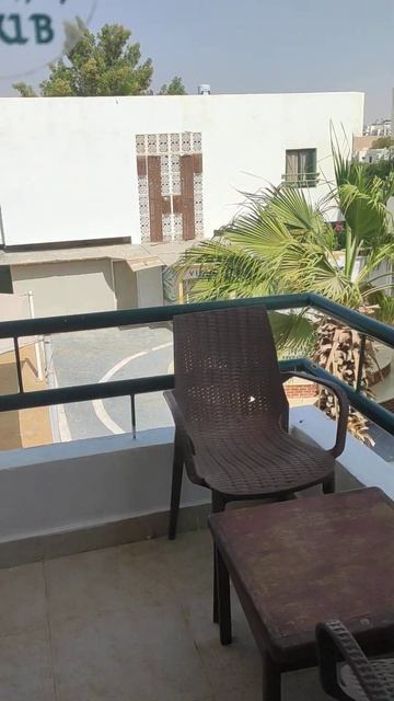 Египет2024 Шарм эль шейх Viking Номер 1+1 #египет2024 смотреть онлайн