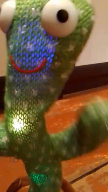 Живой кактус смотреть онлайн