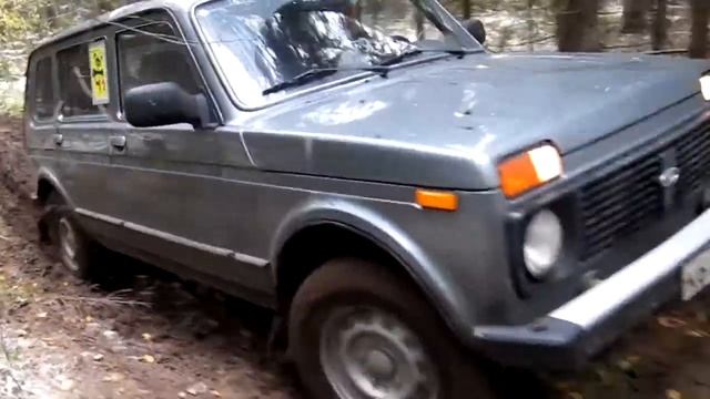 18 Октября 2014- Земля Винни-Пуха смотреть онлайн
