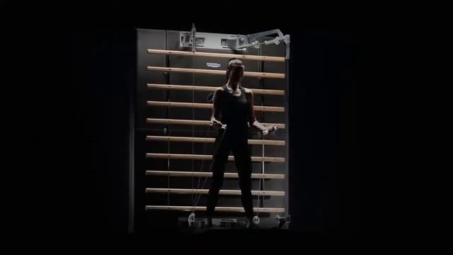 Многофункциональный тренажер Technogym Kinesis Personal Heritage Leather