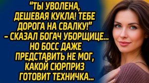 Ты уволена, дешёвая кукла! Тебе дорога на свалку! – сказал богач уборщице… Но босс даже представлял.