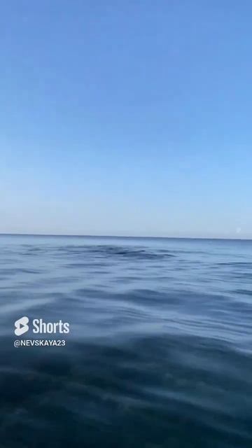 Агентство "ДОМ У МОРЯ" - как рыба в воде. смотреть онлайн