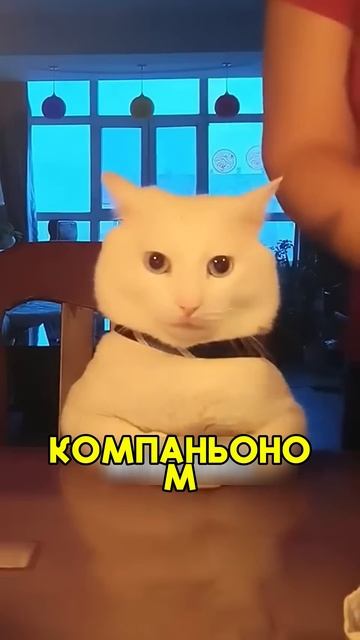 У него есть один талант #shorts #добро смотреть онлайн