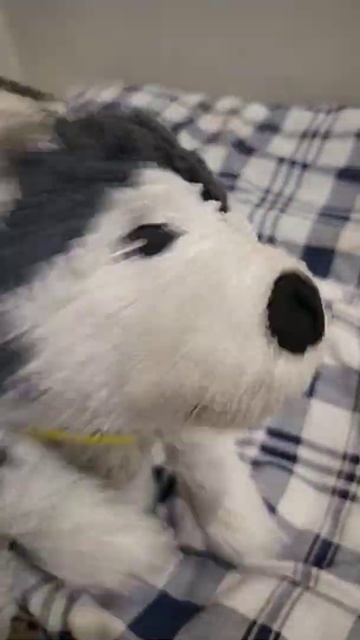 сабвей сёрф × боярышник форте эвалар смотреть онлайн