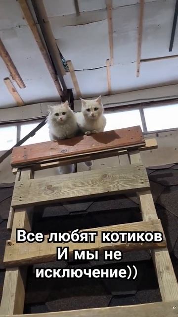 Строительство Бани бочки 2,3*4м