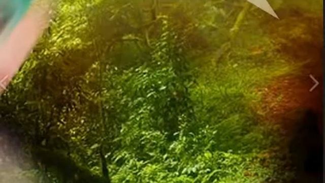 Комикс Амнезия 7 часть смотреть онлайн