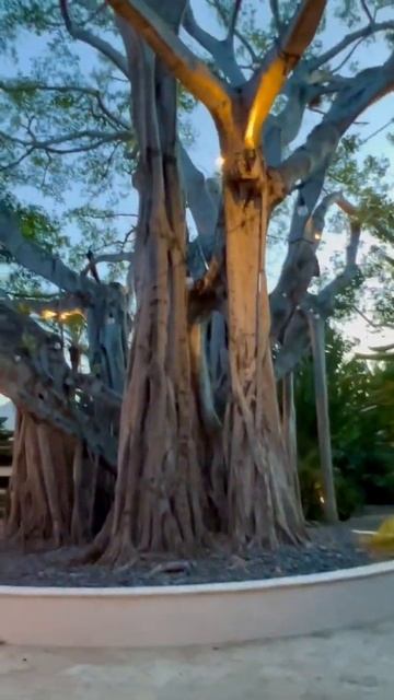 Райский Уголок Фишер Айлант Майами Little Paradises Fisher Island Mia смотреть онлайн