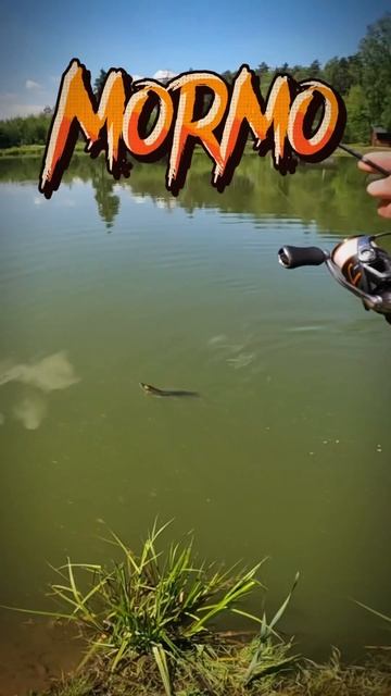 Sub Zero CF VS щука. Мормышинг #рыбалка #мормышинг смотреть онлайн