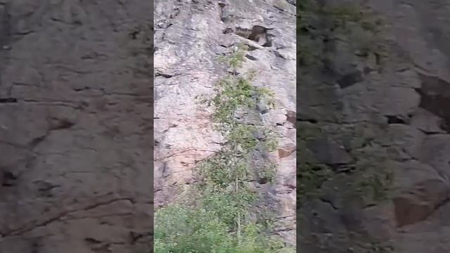 Якимварский залив. Гора Змеиная Аннанриутта. 18.07.2023. смотреть онлайн