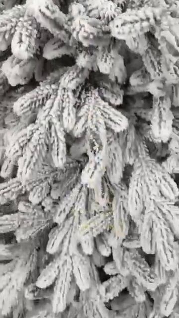 Лита ялинка Віденська засніжена 1,8м смотреть онлайн