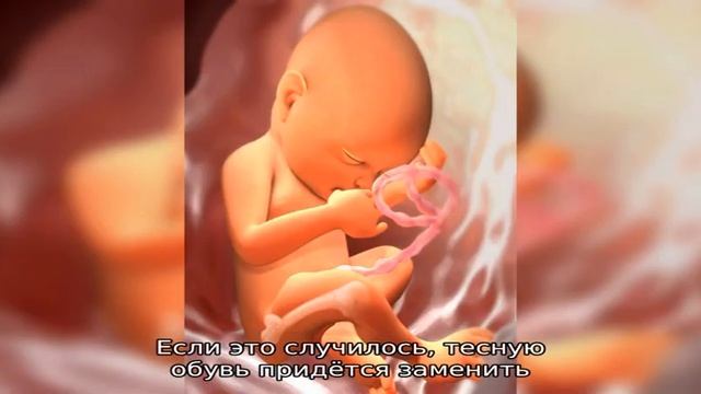 30 неделя беременности смотреть онлайн