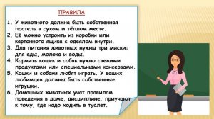 Почему мы любим кошек и собак