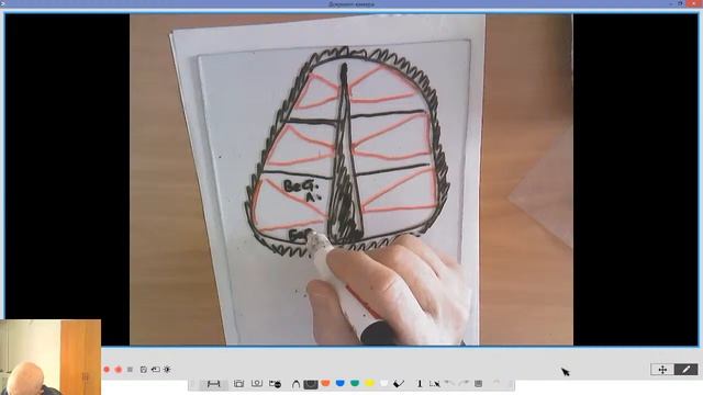 12 Анализаторы Слух , Вест , Вкус смотреть онлайн