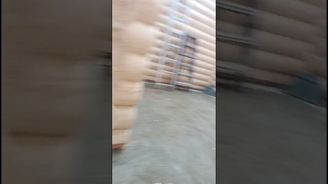 #баня , #дом из дерева, #баня из дерева, #деревянная баня