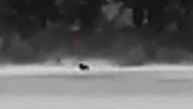 #Nnpo RD23S 635LRF #тепловизорный #монокуляр