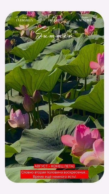 Для кого-то рыбалка в августе - #отдых, а для нас время д смотреть онлайн