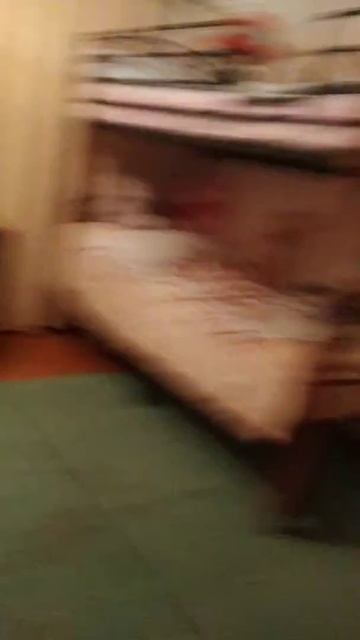 Денис тв шоу смотреть онлайн