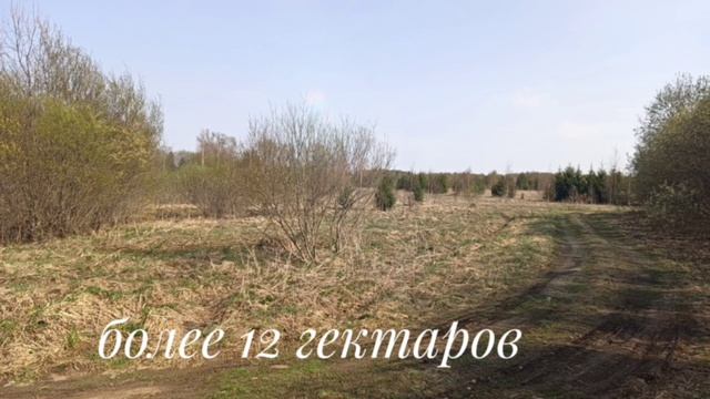 video_2025-05-14_17-38-07 смотреть онлайн