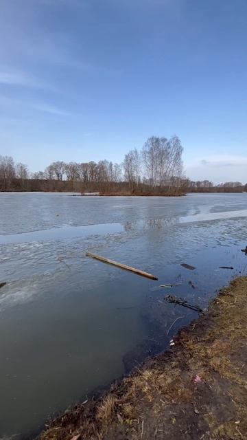 Старица Москва реки 8 апреля #фишермания #рыбалка #youtube