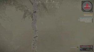 - STALCRAFT X - квест "Месть Близнецов" как выбраться из аномалии.