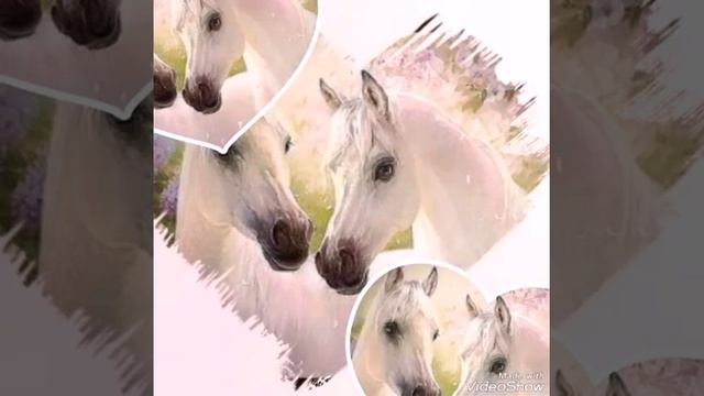 Картинки . Лошади смотреть онлайн