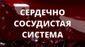 Исцеление Сердца и Венозной Системы*Без Лекарств, Просто Слушай*Снятие Спазмов