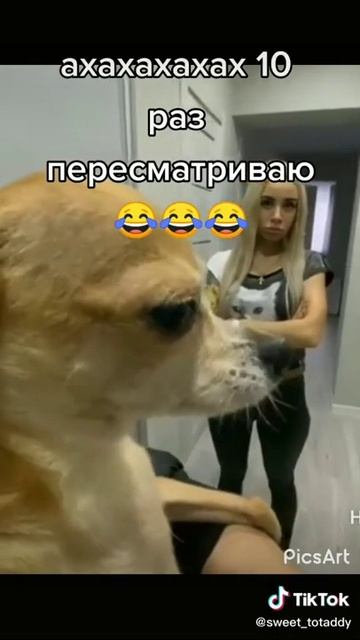 муж пришел опять пьяный #Shorts смотреть онлайн