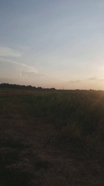 4 августа 2023 г. смотреть онлайн