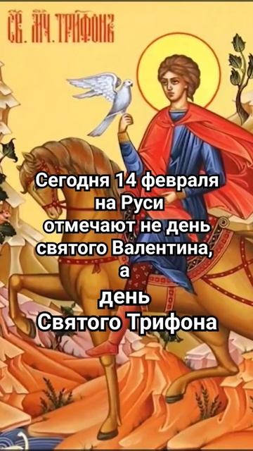 Сегодня на Руси не день св. Валентина, в день св. Трифон смотреть онлайн