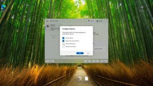 Как установить ReviOS на Windows 11 24H2 видеоинструкция