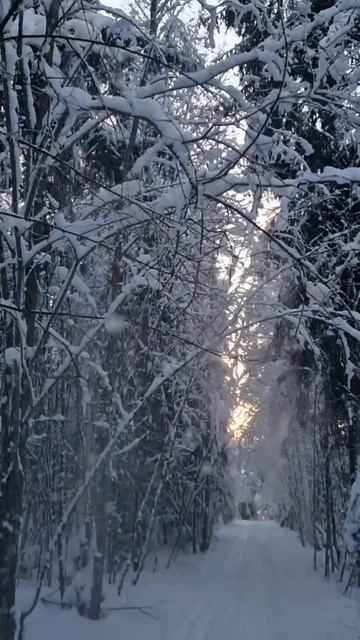 Русская зима ❄️❄️❄️ смотреть онлайн