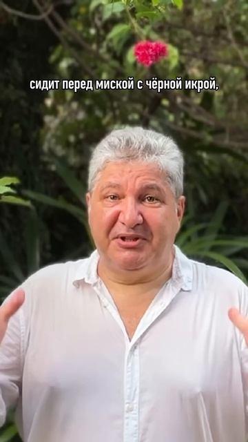 Покупать оптом и каждый день есть чёрную икру #михаил_? смотреть онлайн