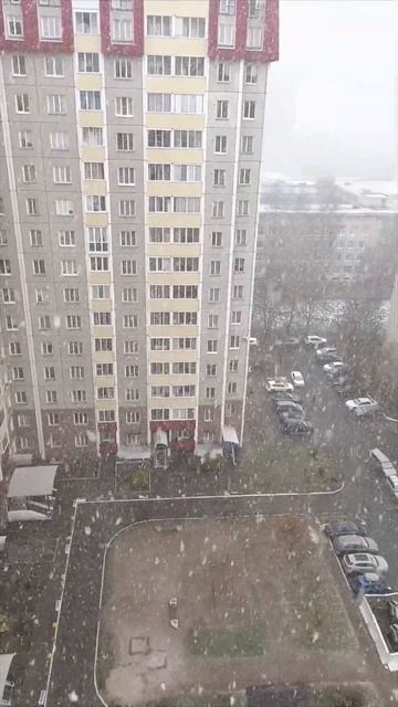 Первый снег❄️в Санкт-Петербурге смотреть онлайн