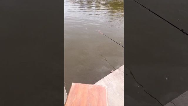 Царев река Астраханская область 24 смотреть онлайн