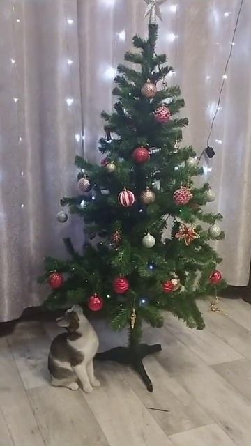 Первая Ёлка Маси. смотреть онлайн