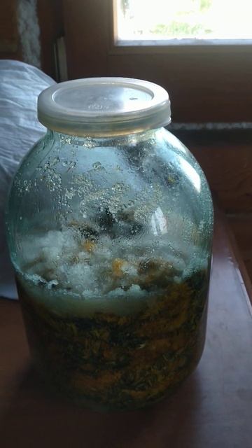 Делаю сироп из одуванчиков. Но есть нюанс... смотреть онлайн