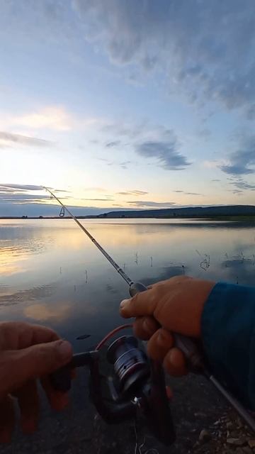 Рыбалка на ультралайт и поплавок . 9 серия . Шортс сериа смотреть онлайн