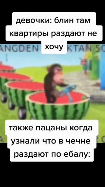 ку мемасик подьехал теперь у меня есть волка смотреть онлайн