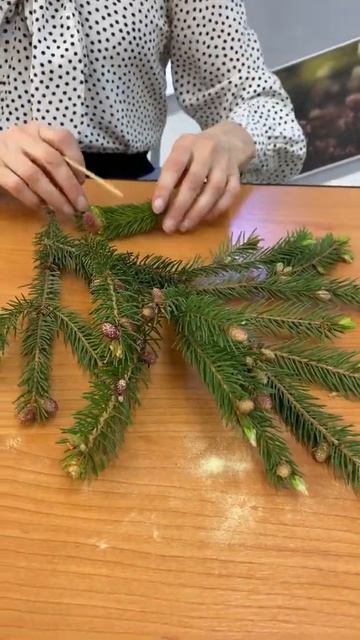 Какие шишки увидишь только в мае? смотреть онлайн