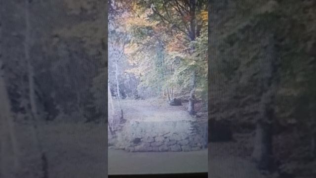 Паутинка. Рассказ