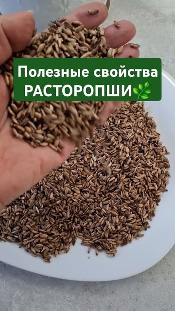 Радужные радости