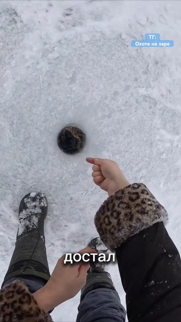 ПОСЛЕ ТАКОГО Я ЗАПРЕТИЛА МУЖУ РЫБАЧИТЬ😬 #рыбалка #fishin