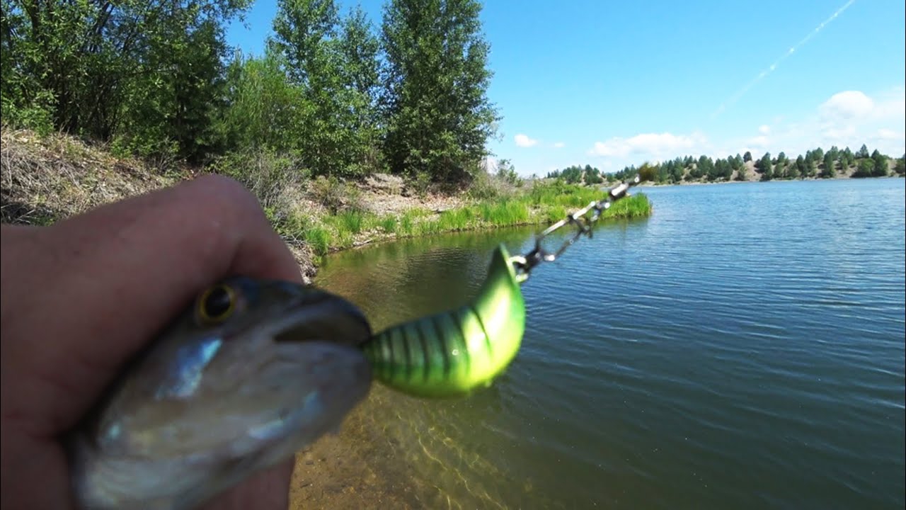 РЫБАЛКА НА ОКУНЯ. ТЕСТИРУЮ НОВЫЕ ПРИМАНКИ. смотреть онлайн